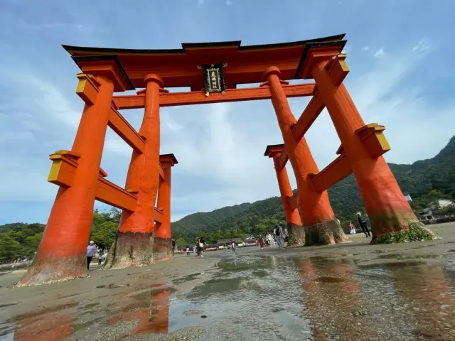 社員旅行in広島&愛媛🚄✈️

皆様お疲れ様です🫡

先日、お客様・関係協力会社様のご協力のもと
社員旅行に行ってまいりました😊
ご協力していただいた皆様ありがとうございます🙇

普段現場に出ていて社員一同が揃うことがなかなか
ない中このような交流の場がもてることが本当によかったとおもいます！！
社員の絆も深まりより一層仕事に励めます😁⚒️

これから夏に向けて仕事も忙しくなってくると
思いますが、佐藤工業のことを今後とも
よろしくお願いいたします。🙇

#高崎#電気#電気工事#電気工事士#佐藤工業#社員旅行
#広島#愛媛#社員募集
