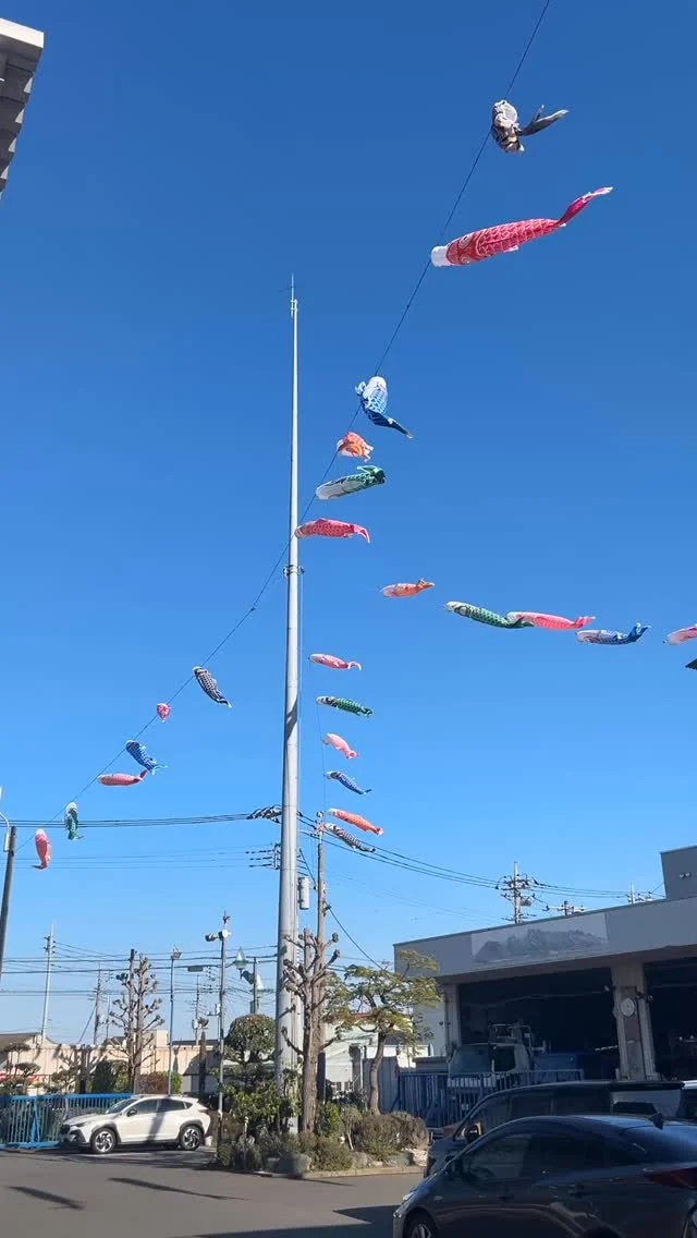 青空のもと、今年も鯉のぼりが元気に泳ぎ始めました🎏
風の強い日は大忙しです😅

#鯉のぼり 
#こいのぼり 
#こどもの日
#高崎 
#電気工事